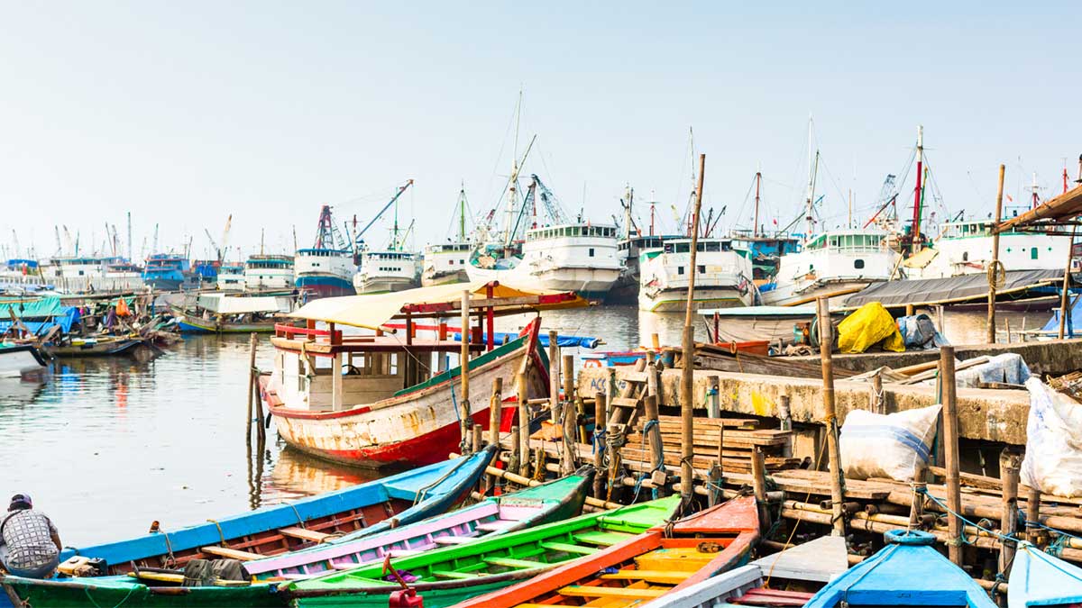 Fishing boats moored at a pier in Jakarta.